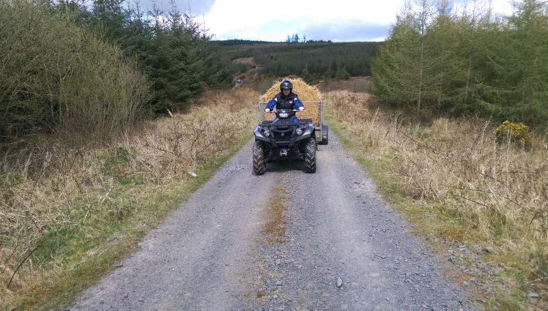 Watch: Six ATVs put to the test