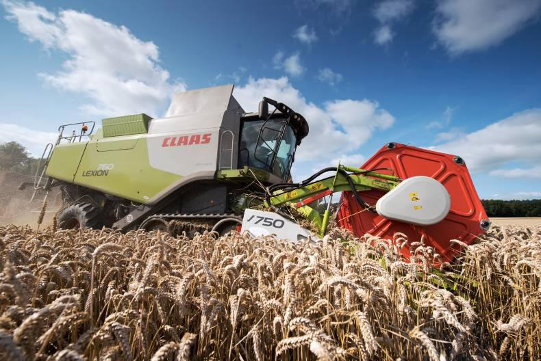 Watch: High yields for winter wheat fields