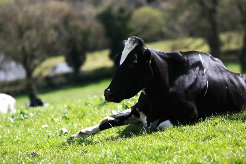 Fonterra oppose elements of sector restructuring plan                      