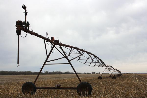 Poor weather hits Origin Enterprises