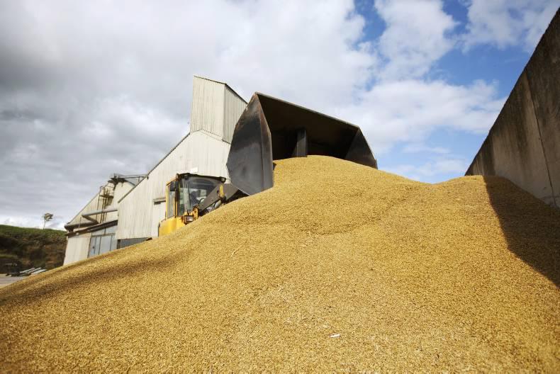 Monday grain market update: markets unfazed by record harvest predictions