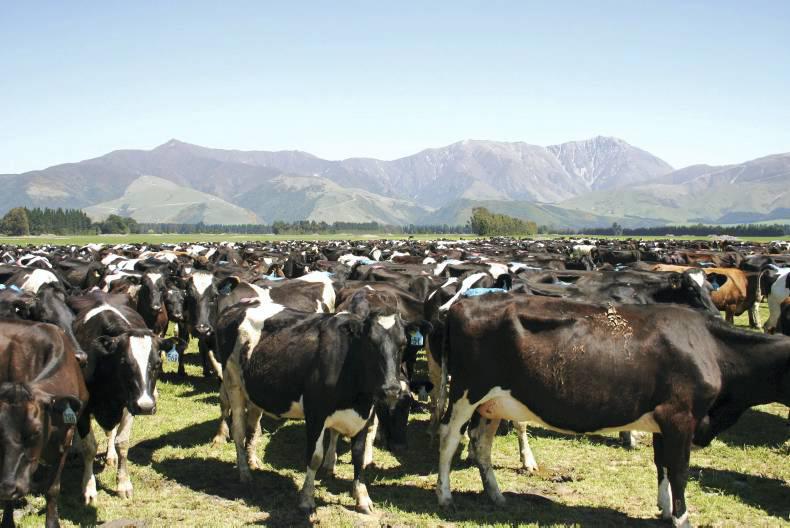 La Nina effect poses no threat to agriculture in the southern hemisphere