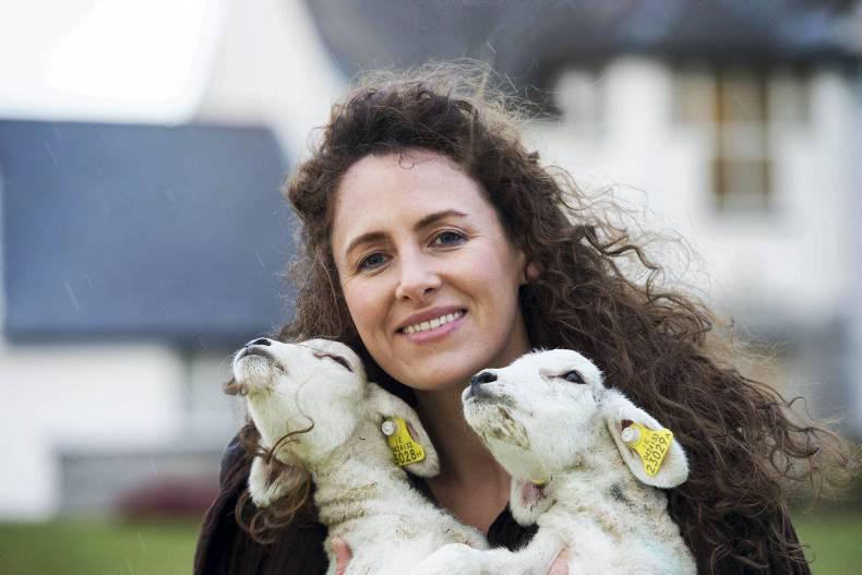 Living Life: Five things to do around Ireland 