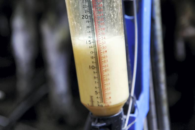 EU milk production up 7.2% in first quarter