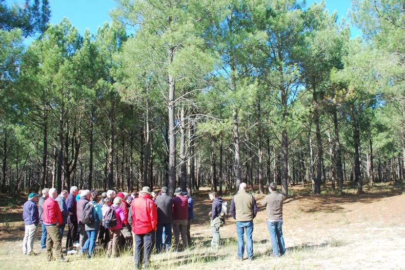 Forestry potential for farmers