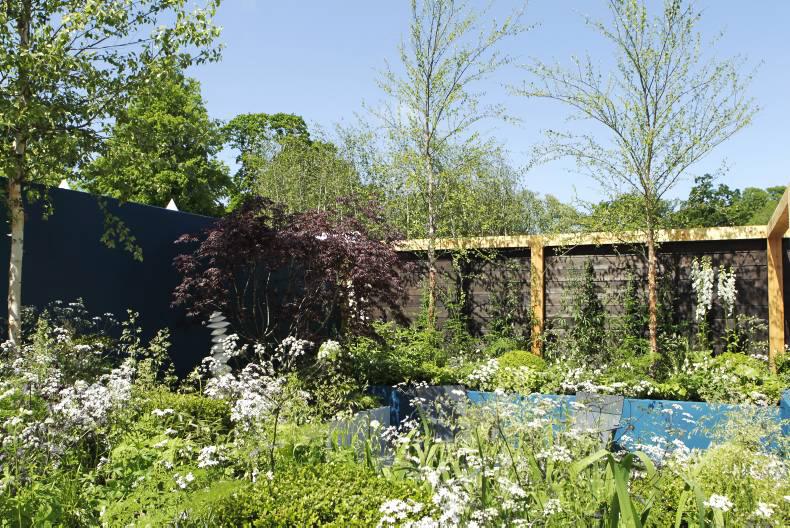 Listen: Irish celebrities reveal their favourite flower at Bloom 2016 