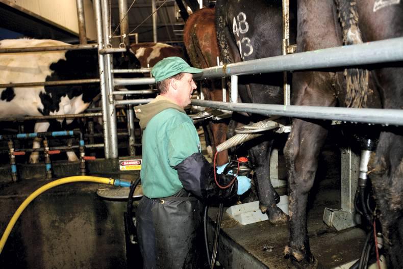 Six key areas for mastitis control