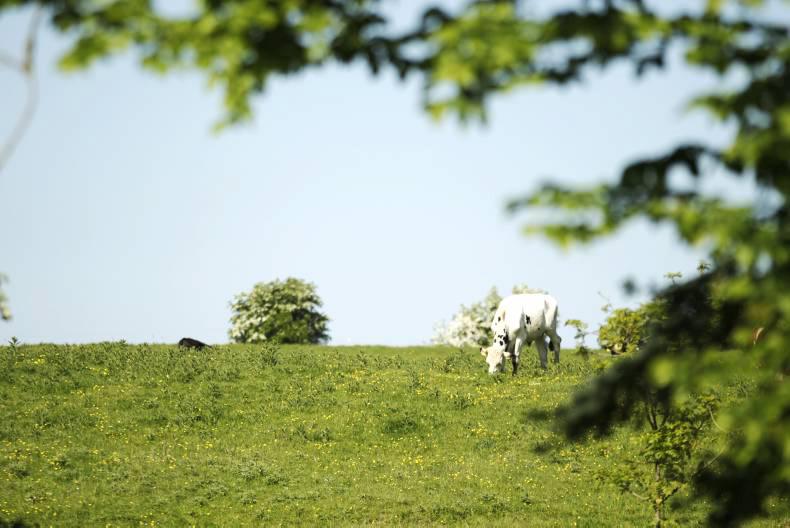 Irish Farmers Journal breakfast news: Tuesday 7 June