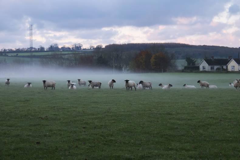 Weekly weather: humid with showers 