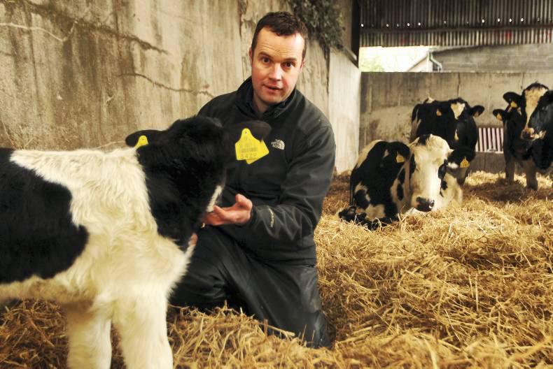 Vet's corner CCN, cow bloat and pneumonia all in one week Premium