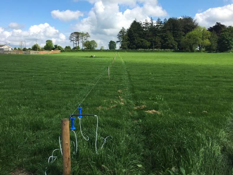 A big buyer for a big farm    