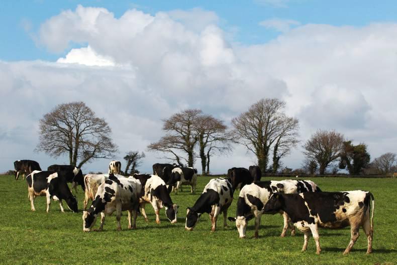 Letter to the Editor: CAFRE approach to milk is wrong
Alan Kyle, Omagh