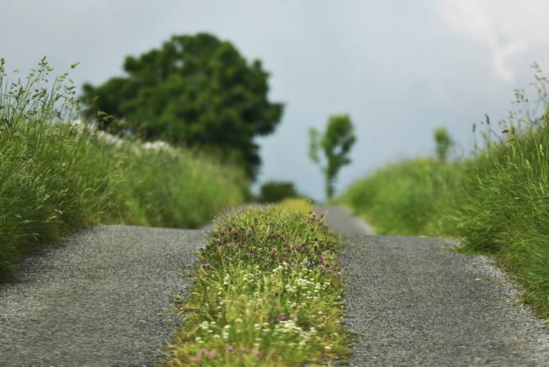 Weekend weather: dry spell ends with temperatures back to normal 