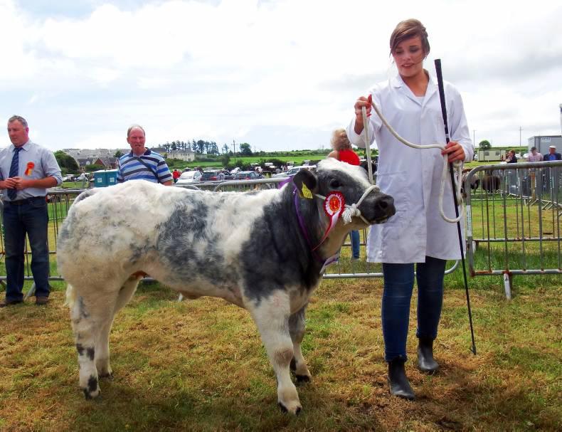 Full cattle results from the Clonakilty show 