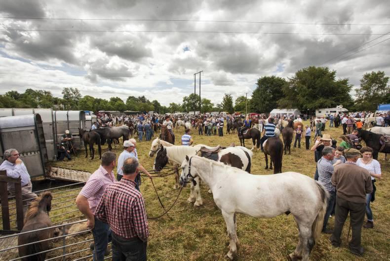 Pony riders win Hagen Nations Cup