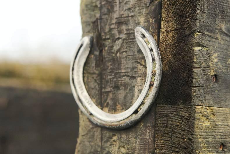 Roll up for Teagasc training day 