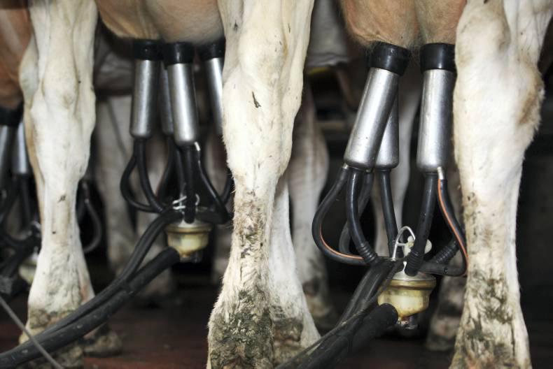France, Germany and Poland calling for EU-wide milk supply control mechanism