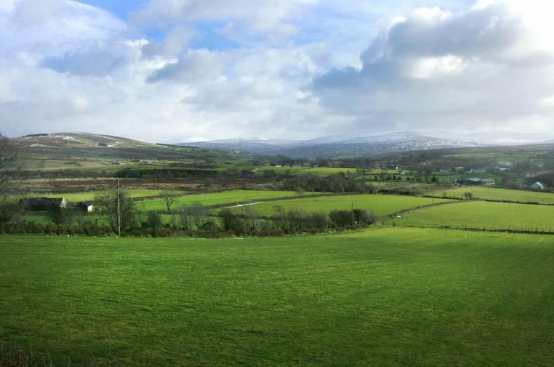 New minister to decide on ANC support