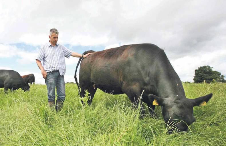 Beef Data & Genomics Programme: Beef Carbon Navigator