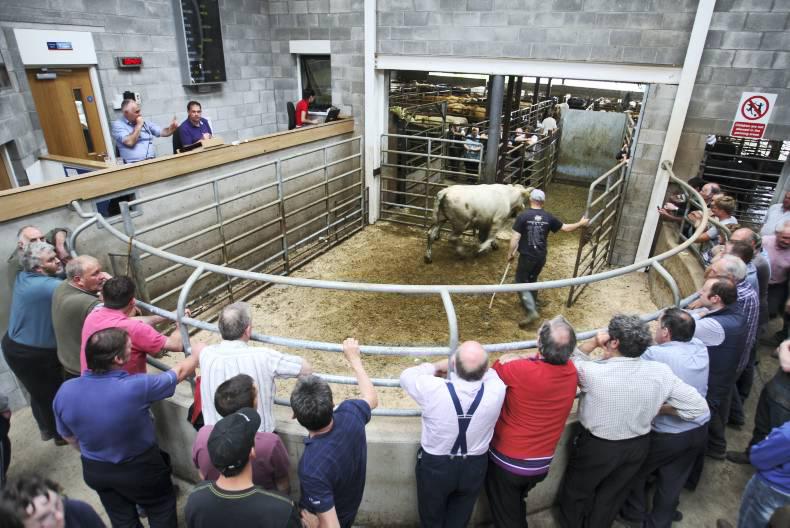 Do you have all the info on your local marts? 