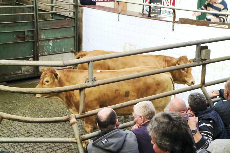 Strong demand for lower numbers at Balla