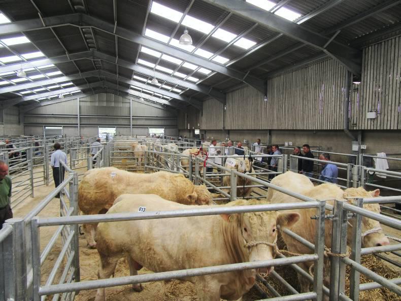 News round-up from Northern Ireland