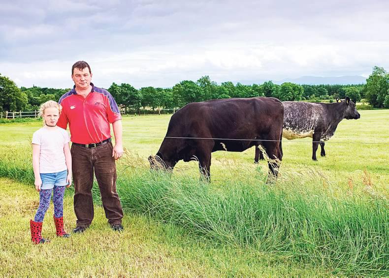 Beef Data & Genomics Programme All data for 2015 calves now due