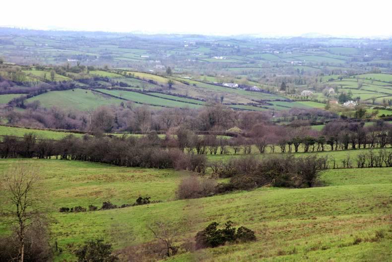 'Devastating' Brexit causes anger in Sinn Féin's border heartland