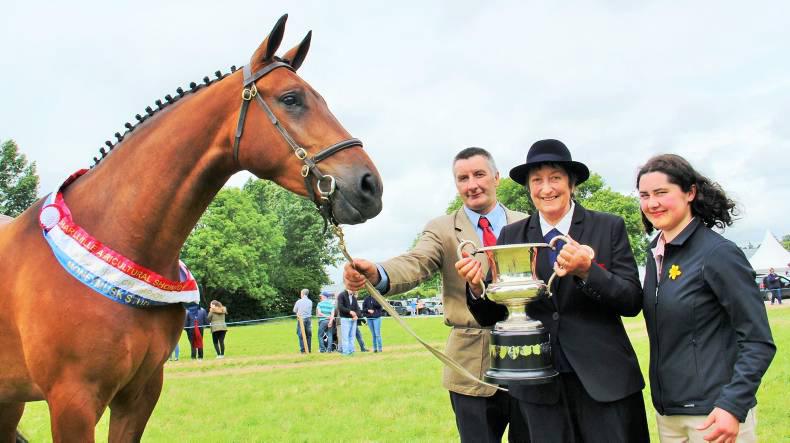 Irish unfazed by Brexit?      