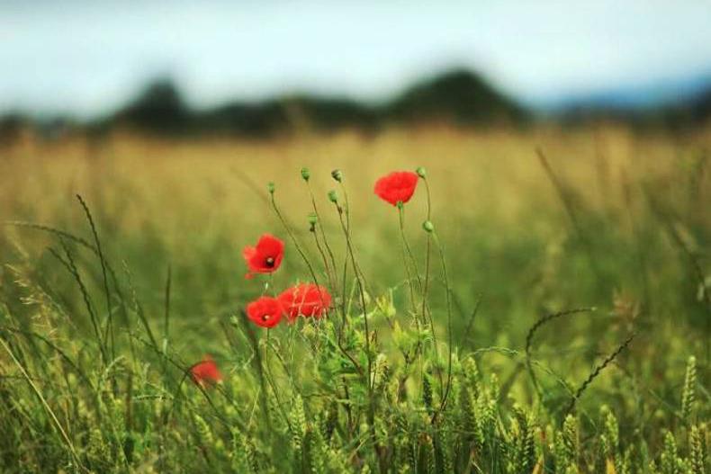 Weekly weather: changeable conditions ahead