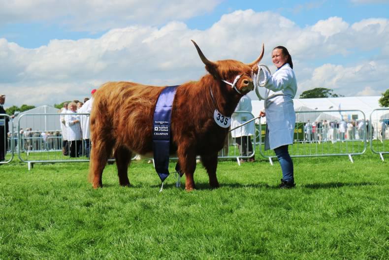 Irish breeding to the fore at Royal Highland Show
