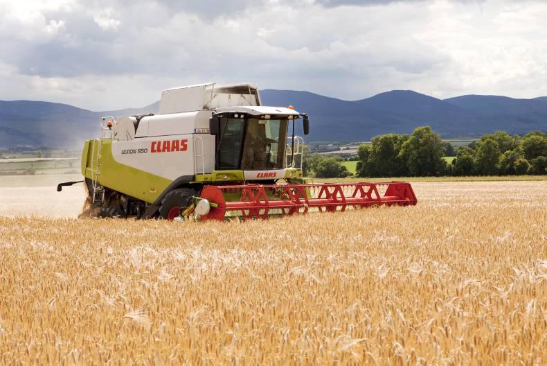 Grain market update: Falling euro helps lift European grain prices slightly