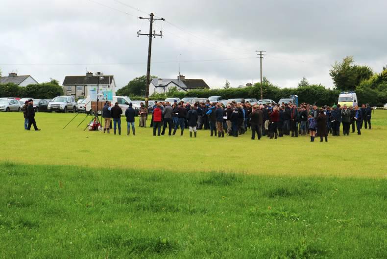 BETTER farm: recording a gross margin in excess of €1,200/ha