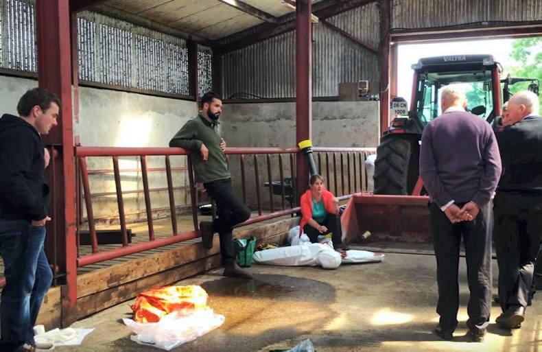 Watch: Highest number of workplace deaths still in agriculture, says HSA