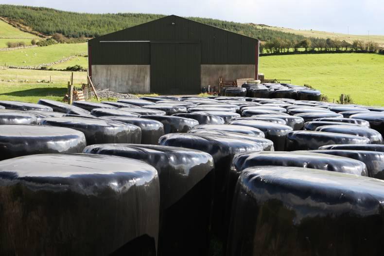 How much fodder will you need? 