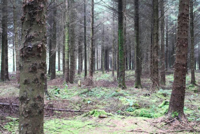 Cañete's statement on agriculture and forestry contested