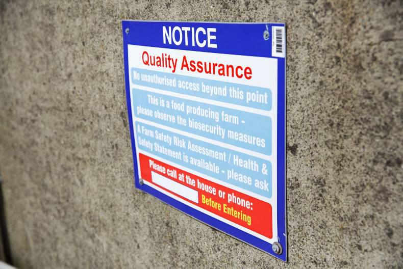 Farmer writes: beef outperforming milk