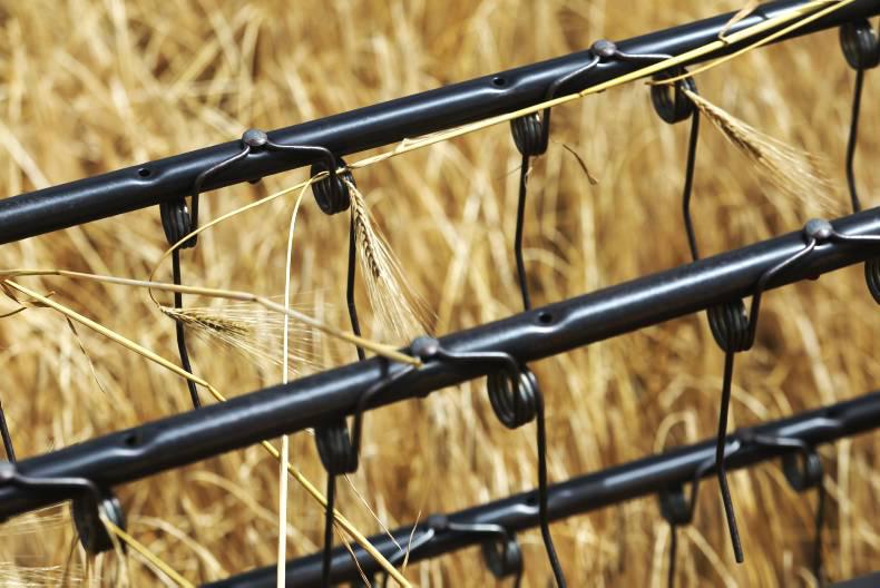 Cold and wet delays the  onset of harvest