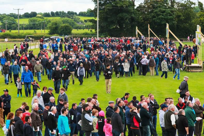 Weekly podcast: BEEF 2016, Brexit briefing and TB