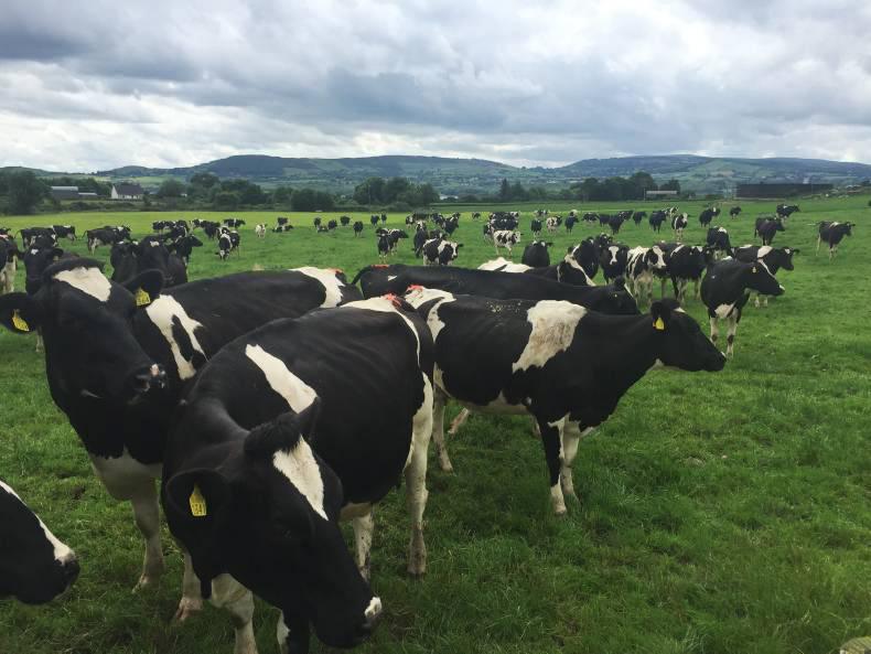 An important week for second cuts