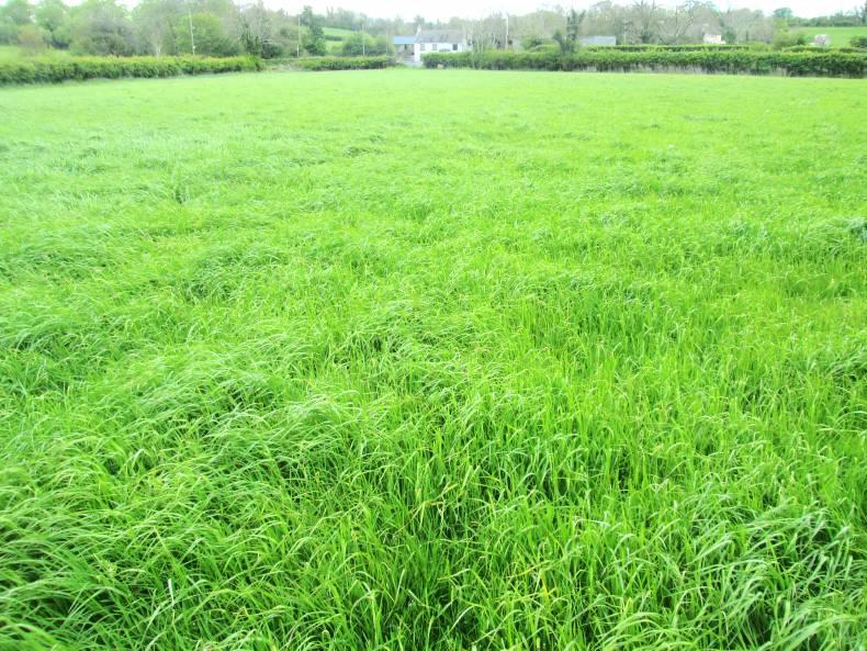 MLAs declare farmland on Stormont register 