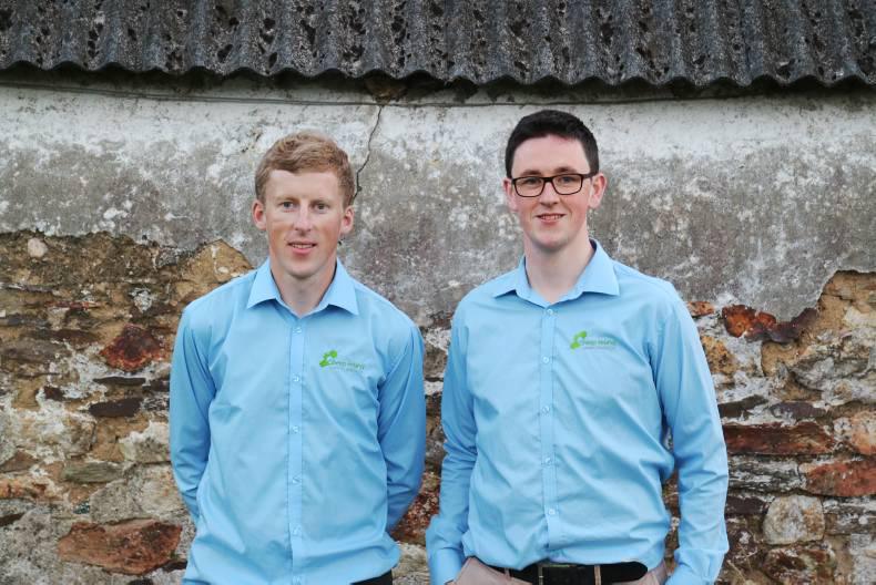 Sheep €uro-Stars gaining momentum