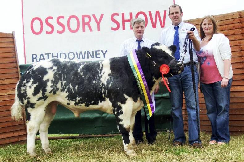 Belgian Blue calf wins interbreed championship at Ossory
