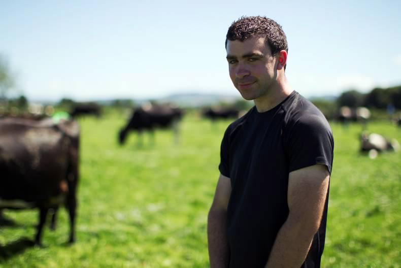 Greenfield update: herd fertility and soil fertility key issues for June 