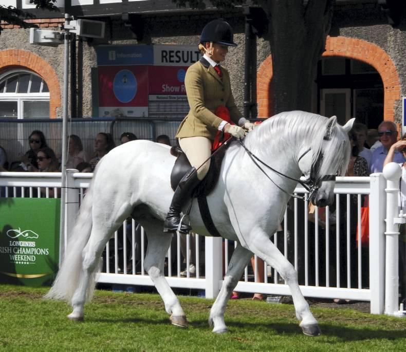 Supreme honours for Shanbo Rory