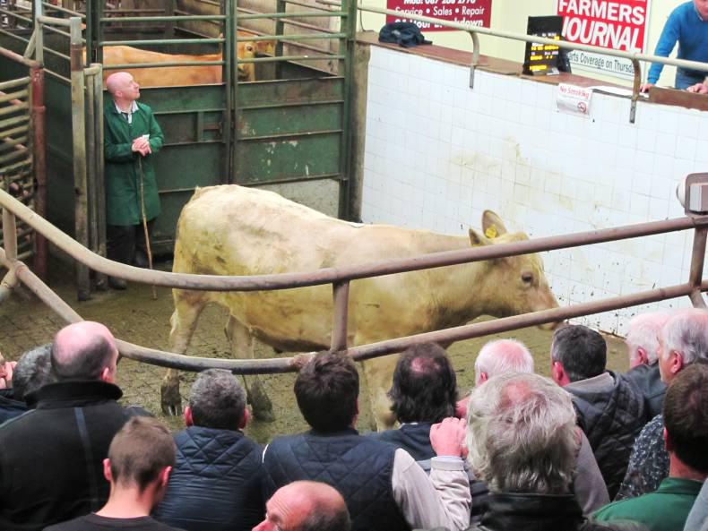 Balla blog: steady trade for smaller entry