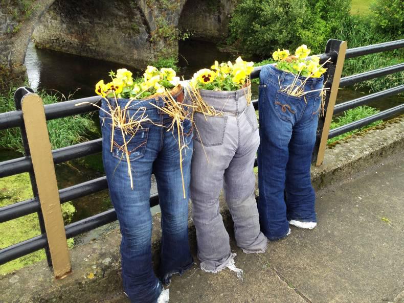 Living life: top five things to do in Ireland 