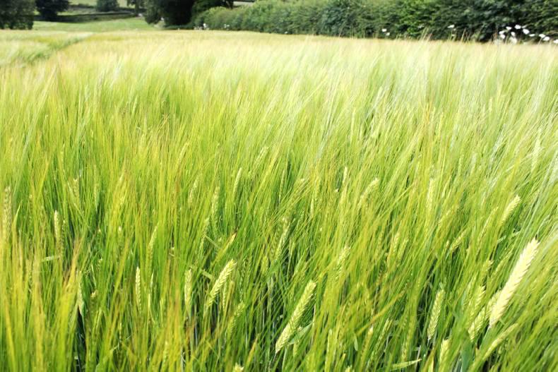 More new elements added to spray mix