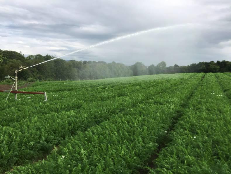 Farmer writes: Irrigation season 