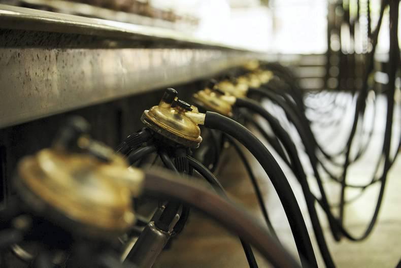 Currency advance boosts LacPatrick price 